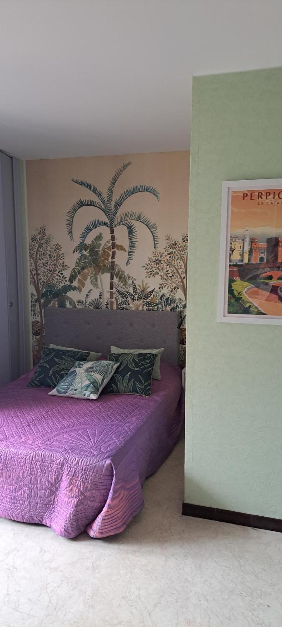 Studio Phannie Renove 50M Cures Amelie-les-Bains-Palalda Ngoại thất bức ảnh